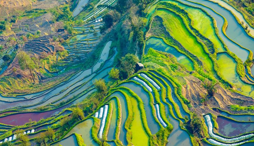 走进月湖区TVC拍摄：解锁本地化场景与创意镜头的完美融合